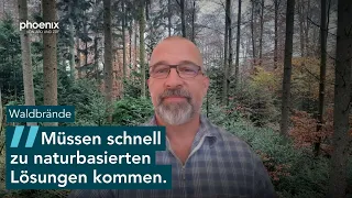 Forstwissenschaftler Alexander Held zu jüngsten Waldbränden und politischen Maßnahmen | 17.08.2026