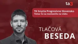 TK hnutia Progresívne Slovensko, Téma: Čo sa nezmestilo na vládu