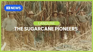 Celebrating the migrants who built Australia's sugarcane industry | Landline | ABC News