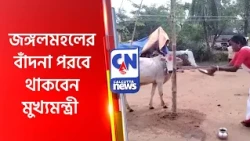 জঙ্গলমহলের বাঁদনা পরবে থাকবেন মুখ্যমন্ত্রী  JANGALMAHAL