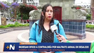 Karina Guzmán emite oficio a Contraloría en contra de Municipalidad por maltrato animal en desalojo