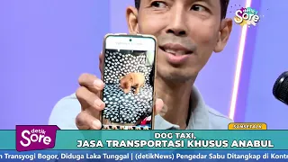Dog Taxi, a Transport Service for Furry Friends!