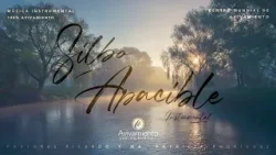 Musica para orar Instrumental - SILBO APACIBLE