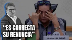 Who will replace Guadalupe Taddei at the INE? Monreal explains the process and how long it would ...
