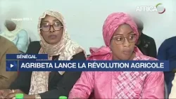 Sénégal : ABRIBETA lance la révolution agricole