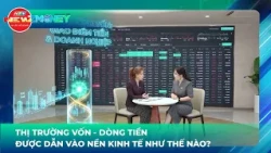 NEWZMONEY EPISODE 6: CAPITAL MARKETS - HOW IS CASH FLOW DIRECTED INTO THE ECONOMY?