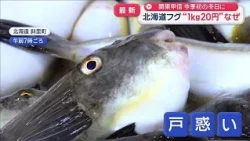 関東甲信　今季初の冬日に　北海道でフグ豊漁“1キロ20円”驚きの価格なぜ？【スーパーJチャンネル】(2026年10月8日)