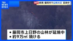 群馬・藤岡市で山林火災 延焼中　きょうも自衛隊のヘリなどによる消火活動の予定｜TBS NEWS DIG