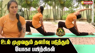 Body Stretch Yoga | உடல் முழுவதும் தளர்வு படுத்தும் யோகா பயிற்சிகள் | Dhinam Oru Yoga | Vasanth TV