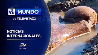 Bulgaria: Mammoth remains found after Danube water levels drop | Mundo Televistazo July 31, 2026
