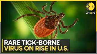 The Rising Threat Of Powassan Virus In U.S., Cases Reach Record High | WION