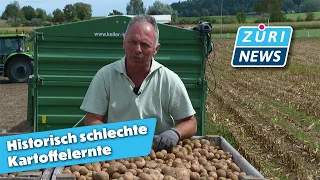Hot Summer Brings Swiss Farmers a Historically Bad Potato Harvest | ZüriNews