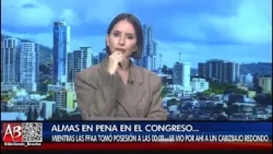 ABRIENDO BRECHA - DIPUTADOS DEL PLR ¿NO QUIEREN TRABAJAR?... ¡RENUNCIEN!