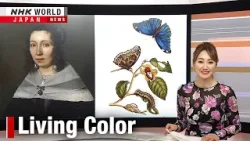 Passion for insects spans centuries and continentsーNHK WORLD-JAPAN NEWS Passion for insects spans centuries and continentsーNHK WORLD-JAPAN NEWS