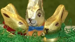 Hase & Eier: 47 Mio. € Umsatz an Ostern Hase & Eier: 47 Mio. € Umsatz an Ostern