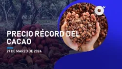 #NoticiasEcuador | El cacao alcanzó un precio récord de 9.000 dólares por tonelada 27/03/2024