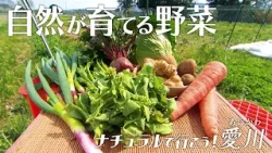 【自然農法】「ナチュラルで行こう！愛川」かながわ旬菜ナビ 2026/4/5放送