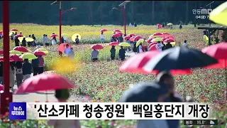 'Oxygen Cafe Cheongsong Garden' Zinnia Complex Now Open