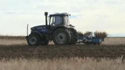 10 6.7 MILLION SAPLINGS TO BE PLANTED IN AKTOBE REGION