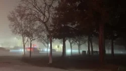 'Took an L': Fresno reacts to dense fog impacting travel