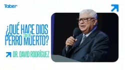 What Does God Do With a Dead Dog? | Ps. David Rodriguez