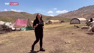 With a terror-free Türkiye, Kato Mountain plateaus have once again become home to nomads
