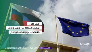 "المنطقة الرمادية".. خشية أوروبية من روسيا