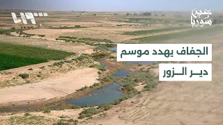 مياه الري تنقطع.. ومحاصيل دير الزور مهددة بالجفاف وخسارة الموسم الزراعي | عين سوريا