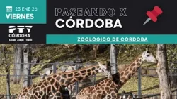 ?♂️ PASEANDO X CÓRDOBA HD | Zoo Córdoba | 23 ene ?♂️ PASEANDO X CÓRDOBA HD | Zoo Córdoba | 23 ene