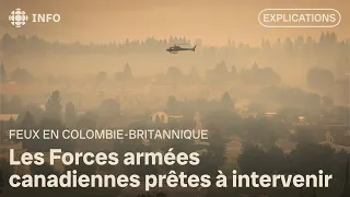 Wildfires in British Columbia: 80-year-old woman dies due to fires