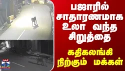 Leopard | Nilgiris | பஜாரில் சாதாரணமாக  உலா வந்த சிறுத்தை.. கதிகலங்கி நிற்கும் மக்கள்