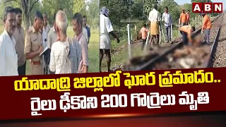 యాదాద్రి జిల్లాలో ఘోర ప్రమాదం.. రైలు ఢీకొని 200 గొర్రెలు మృ*తి | Yadadri Train Accident | ABN Telugu
