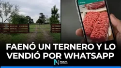 🥩 He offered stolen meat on WhatsApp status updates and was convicted by the courts 🚔