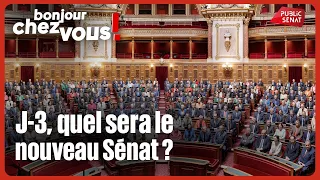 Three days to go, what will the new Senate look like?