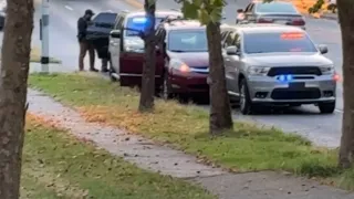 ICE agents make more than 11 arrests Sunday