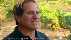 ارتباط نبوتها - قسمت پانزدهم - مقدمه‌ای بر قضاوت‌های هفت جام