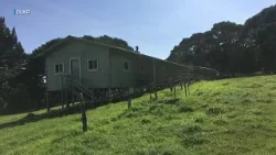 Popular camping spot on the slopes of Mauna Kea reopens