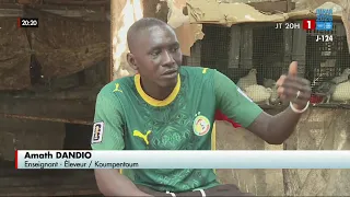 Koumpentoum: Poultry Farming, a Catalyst for Local Development