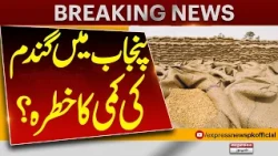 Flour Crisis Alert in Punjab! Reserve Depletion, Smuggling Fears & Price Hikes Ring Alarm Bells