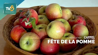 Cappel: Apple Festival