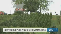 How to recycle your Christmas Tree in Sacramento