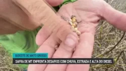 Safra de Mato Grosso enfrenta desafios com chuva, estrada e alta do diesel Safra de Mato Grosso enfrenta desafios com chuva, estrada e alta do diesel