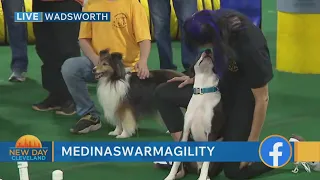 New Day Cleveland- Medina Swarm 2