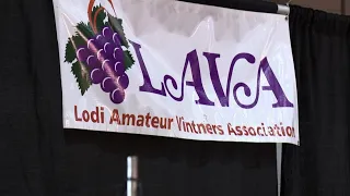 Grape industry downturn gives Lodi amateur winemakers an unexpected opportunity