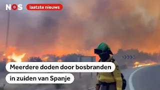 Brandweer bestrijdt grote bosbrand in het zuiden van Spanje