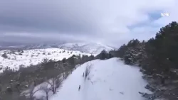 Malatya'da Karla Kaplı Dağlarda Dağ Keçileri Drone İle Görüntülendi.