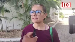 Refugio animal de Playa del Carmen opera por encima de su capacidad