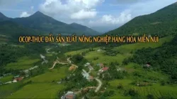 OCOP - Thúc đẩy sản xuất nông nghiệp hàng hóa miền núi