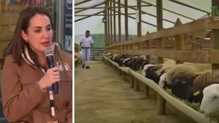 Genetics and livestock production take center stage at Expo Paraguay 2026