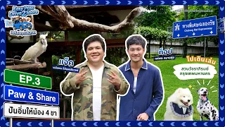 Full EP #EP.3 Paw & Share Sharing Meals with our 4-Legged Friends